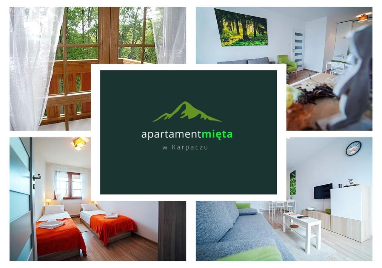 Apartament Mięta Karpacz Zewnętrze zdjęcie